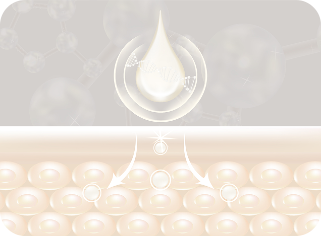 微生態科學示意圖 - 皮膚與分子結構