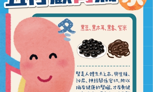 五行顧腎篇(圖)