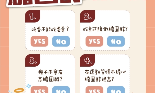 膽固醇 YES or NO(圖)