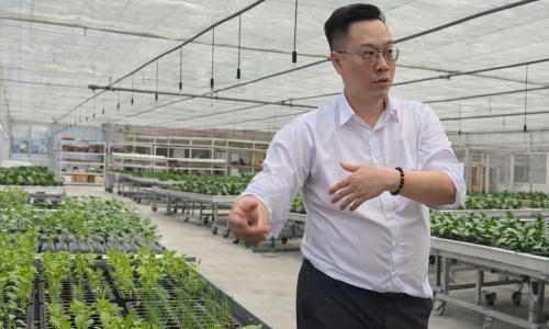 守護中醫藥「源頭安全」！元樟生技(6864)攜手順天堂集團樂茂農業，以科技介質打造「藥用作物」國家級標準(圖)