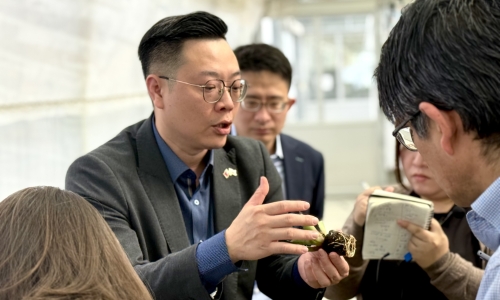 元樟生技(6864)以「發泡孔隙技術」突圍！SeepPlug 獲越、日、台五大龍頭青睞，橫跨景觀、醫藥與精緻農業版圖(圖)